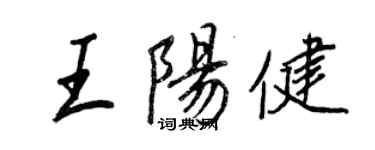王正良王阳健行书个性签名怎么写
