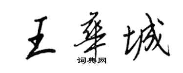 王正良王华城行书个性签名怎么写