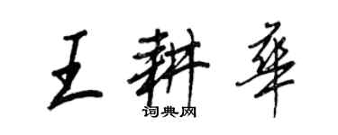 王正良王耕华行书个性签名怎么写