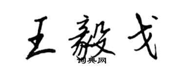 王正良王毅戈行书个性签名怎么写