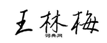 王正良王林梅行书个性签名怎么写