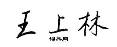 王正良王上林行书个性签名怎么写