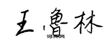 王正良王鲁林行书个性签名怎么写