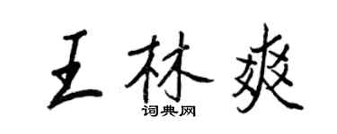王正良王林爽行书个性签名怎么写