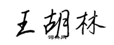 王正良王胡林行书个性签名怎么写