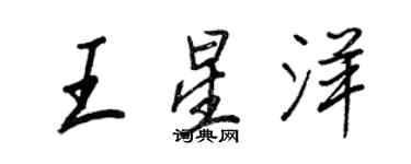 王正良王星洋行书个性签名怎么写