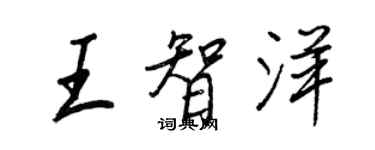 王正良王智洋行书个性签名怎么写