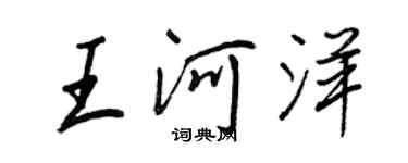 王正良王河洋行书个性签名怎么写
