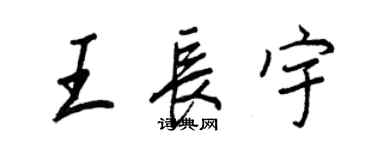 王正良王长宇行书个性签名怎么写