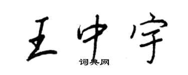 王正良王中宇行书个性签名怎么写