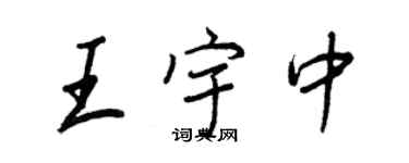 王正良王宇中行书个性签名怎么写