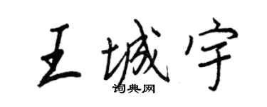 王正良王城宇行书个性签名怎么写