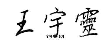 王正良王宇灵行书个性签名怎么写