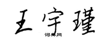 王正良王宇瑾行书个性签名怎么写