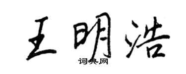 王正良王明浩行书个性签名怎么写
