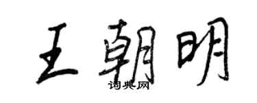 王正良王朝明行书个性签名怎么写