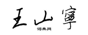 王正良王山宁行书个性签名怎么写