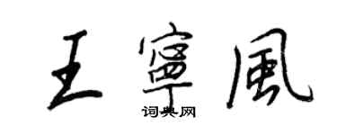 王正良王宁风行书个性签名怎么写
