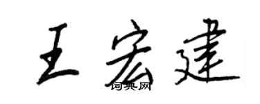 王正良王宏建行书个性签名怎么写