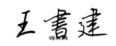 王正良王书建行书个性签名怎么写