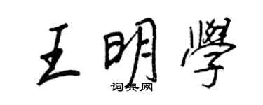 王正良王明学行书个性签名怎么写