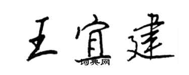 王正良王宜建行书个性签名怎么写