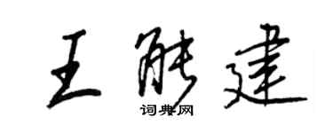 王正良王能建行书个性签名怎么写