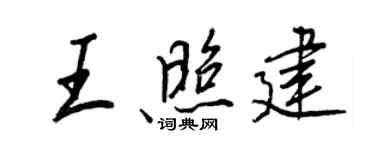 王正良王照建行书个性签名怎么写