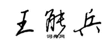 王正良王能兵行书个性签名怎么写
