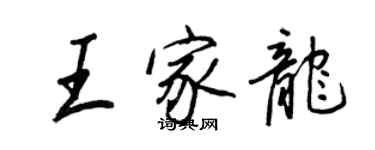 王正良王家龙行书个性签名怎么写