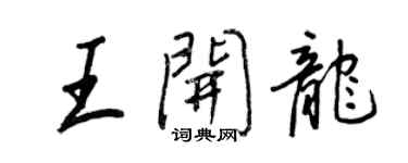王正良王开龙行书个性签名怎么写