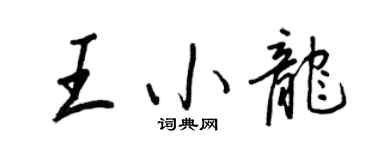 王正良王小龙行书个性签名怎么写