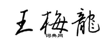 王正良王梅龙行书个性签名怎么写