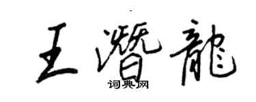 王正良王潜龙行书个性签名怎么写