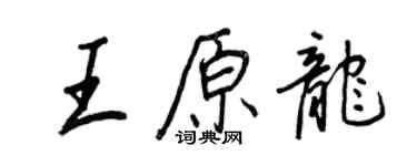 王正良王原龙行书个性签名怎么写