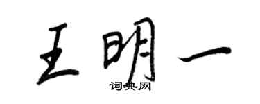 王正良王明一行书个性签名怎么写