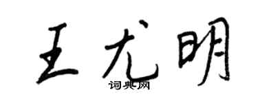 王正良王尤明行书个性签名怎么写