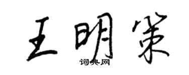 王正良王明策行书个性签名怎么写