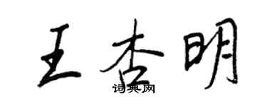 王正良王杏明行书个性签名怎么写