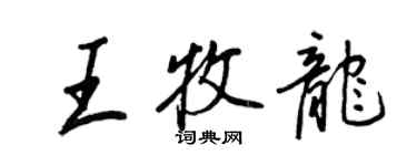 王正良王牧龙行书个性签名怎么写