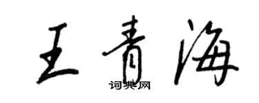 王正良王青海行书个性签名怎么写