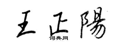王正良王正阳行书个性签名怎么写