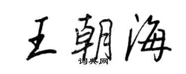 王正良王朝海行书个性签名怎么写