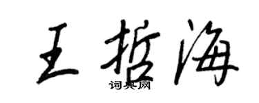 王正良王哲海行书个性签名怎么写