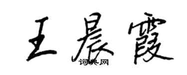 王正良王晨霞行书个性签名怎么写