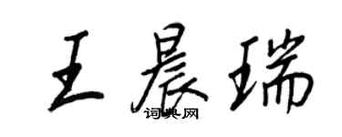 王正良王晨瑞行书个性签名怎么写