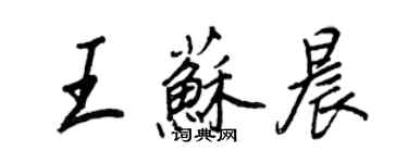 王正良王苏晨行书个性签名怎么写