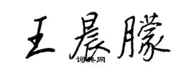 王正良王晨朦行书个性签名怎么写