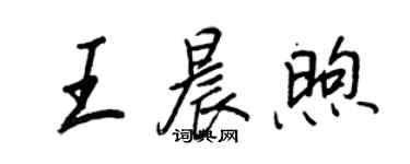 王正良王晨煦行书个性签名怎么写
