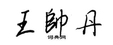 王正良王帅丹行书个性签名怎么写